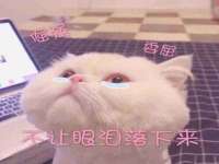 北京霓笙软件科技有限公司