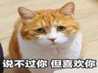 北京霓笙软件科技有限公司