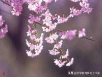 北京霓笙软件科技有限公司