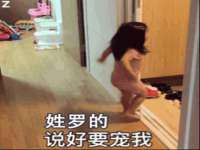 北京霓笙软件科技有限公司