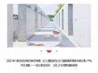 北京霓笙软件科技有限公司