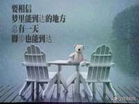 北京霓笙软件科技有限公司