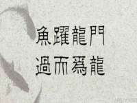 北京霓笙软件科技有限公司