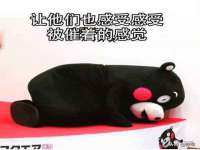 北京霓笙软件科技有限公司