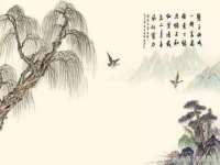 北京霓笙软件科技有限公司