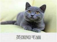 北京霓笙软件科技有限公司