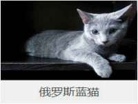 北京霓笙软件科技有限公司