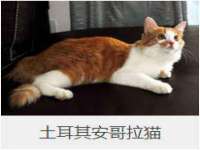 北京霓笙软件科技有限公司