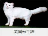 北京霓笙软件科技有限公司
