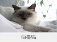 北京霓笙软件科技有限公司