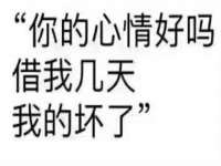 北京霓笙软件科技有限公司