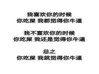 北京霓笙软件科技有限公司