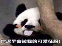 北京霓笙软件科技有限公司