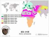 北京霓笙软件科技有限公司
