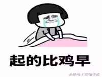 北京霓笙软件科技有限公司