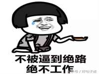 北京霓笙软件科技有限公司