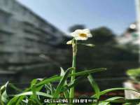 北京霓笙软件科技有限公司