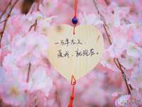 北京霓笙软件科技有限公司