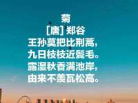 北京霓笙软件科技有限公司