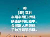 北京霓笙软件科技有限公司
