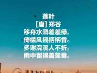 北京霓笙软件科技有限公司
