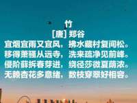 北京霓笙软件科技有限公司
