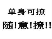 北京霓笙软件科技有限公司