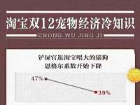 北京霓笙软件科技有限公司