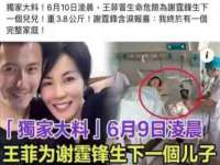 北京霓笙软件科技有限公司