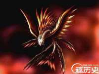 北京霓笙软件科技有限公司