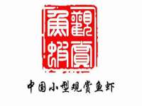北京霓笙软件科技有限公司