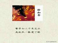 北京霓笙软件科技有限公司