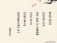 北京霓笙软件科技有限公司