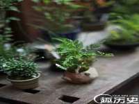 北京霓笙软件科技有限公司