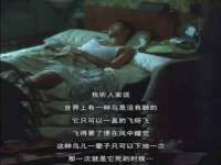 北京霓笙软件科技有限公司