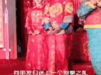 北京霓笙软件科技有限公司