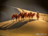 北京霓笙软件科技有限公司