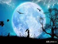北京霓笙软件科技有限公司