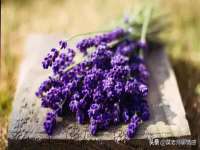 北京霓笙软件科技有限公司