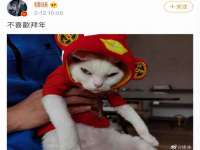 北京霓笙软件科技有限公司