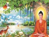 北京霓笙软件科技有限公司