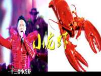 北京霓笙软件科技有限公司