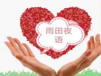 北京霓笙软件科技有限公司