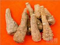 北京霓笙软件科技有限公司